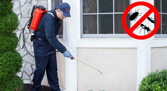 Derepazarı Gümüşkurt İlaçlama böcek ilaçlama ve haşere kontrolü — ilaclama-tr.com